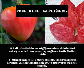 Daržovės, braškės tiesiai iš ūkio / Ūkis Šviežutis / Darbų pavyzdys ID 3889062