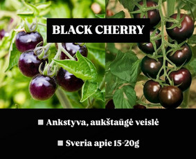 Prekyba maisto produktais - Daržovės, braškės tiesiai iš ūkio - 4