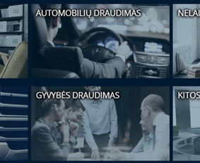 Draudimas_automobilio, būsto, statybų, gyvybės ir kt. - Gyvybės draudimas - 2 Gyvybės draudimas - Draudimas_automobilio, būsto, statybų, gyvybės ir kt. - 2