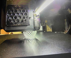Kieta Bitė– 3d spausdinimas pagal užsakymą“ - 3D spausdinimas, skenavimas - 3 3D spausdinimas, skenavimas - Kieta Bitė– 3d spausdinimas pagal užsakymą“ - 3