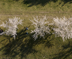 Profesionalus fotografas video operatorius / GVIDAS KOVĖRA / Darbų pavyzdys ID 3890976