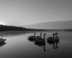 Profesionalus fotografas video operatorius / GVIDAS KOVĖRA / Darbų pavyzdys ID 3890980
