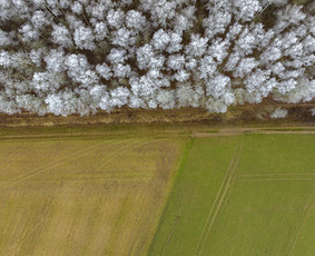 Profesionalus fotografas video operatorius / GVIDAS KOVĖRA / Darbų pavyzdys ID 3890982