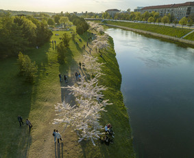 Profesionalus fotografas video operatorius / GVIDAS KOVĖRA / Darbų pavyzdys ID 3891000