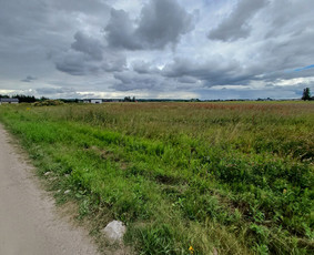 Vejos skarifikavimas pjovimas piktžolių naikinimas tręšimas - Pievų šienavimas - 3 Pievų šienavimas - Vejos skarifikavimas pjovimas piktžolių naikinimas tręšimas - 3