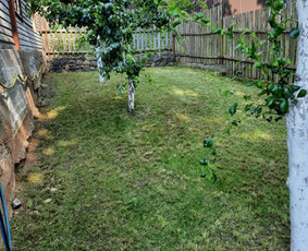 Vejos skarifikavimas pjovimas piktžolių naikinimas tręšimas - Apleistų sklypų tvarkymas - 2 Apleistų sklypų tvarkymas - Vejos skarifikavimas pjovimas piktžolių naikinimas tręšimas - 2