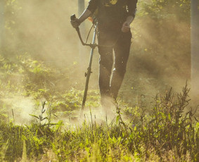 Vejos skarifikavimas pjovimas piktžolių naikinimas tręšimas - Pievų šienavimas - 2 Pievų šienavimas - Vejos skarifikavimas pjovimas piktžolių naikinimas tręšimas - 2
