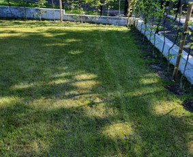 Vejos skarifikavimas pjovimas piktžolių naikinimas tręšimas - Pievų šienavimas - 1 Pievų šienavimas - Vejos skarifikavimas pjovimas piktžolių naikinimas tręšimas - 1