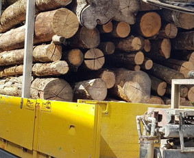 Malkos Žemaitijoje - Šiluma, Kurią Pajusite Iš Karto! - Malkos rąstais - 3 Malkos rąstais - Malkos Žemaitijoje - Šiluma, Kurią Pajusite Iš Karto! - 3