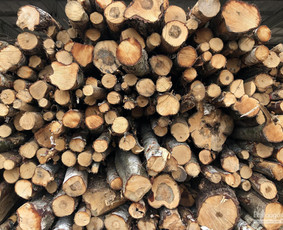 Malkos Žemaitijoje - Šiluma, Kurią Pajusite Iš Karto! - Malkos rąstais - 2 Malkos rąstais - Malkos Žemaitijoje - Šiluma, Kurią Pajusite Iš Karto! - 2