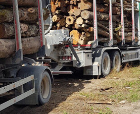 Malkos Žemaitijoje - Šiluma, Kurią Pajusite Iš Karto! - Malkos rąstais - 1 Malkos rąstais - Malkos Žemaitijoje - Šiluma, Kurią Pajusite Iš Karto! - 1