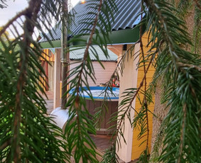 Sodybos nuomai - Sodyba Žalioji Stotelė prie upės. Baidarės. Pirtis, kubilas - 4