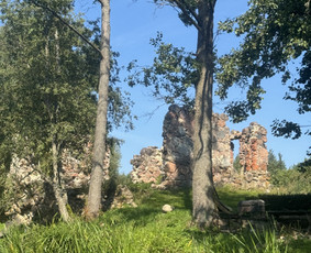 Sodyba Žalioji Stotelė prie upės. Baidarės. Pirtis, kubilas / Inga / Darbų pavyzdys ID 3895312