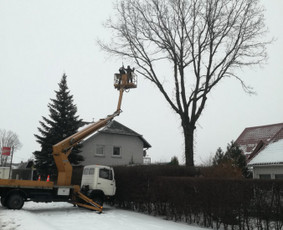 Bokštelio, keltuvo nuoma - Autobokštelio, keltuvų nuoma - 1