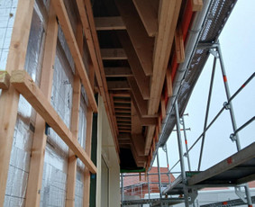 Betonavimo darbus Ir invidaliu namu statyba / Paulius / Darbų pavyzdys ID 3823099