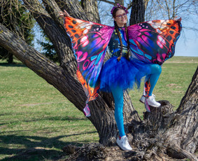 Animatorė/edukatorė drugelis Spalvutė / Laura Šmarlovskė / Darbų pavyzdys ID 3898140