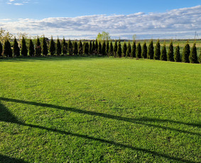 Pievų šienavimas - Žolės pjovimas. - 3