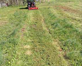 Vejos priežiūra, įrengimas - Aplinkos priežiūra ir vidaus apdailos darbai - 3