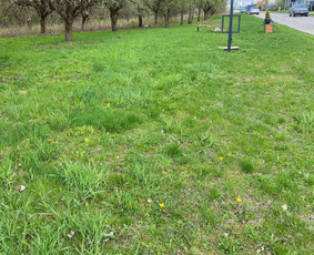 Statybos, apdaila - Vejų priežiūra Klaipėdoje, Palangoje, Kretingoje - 4