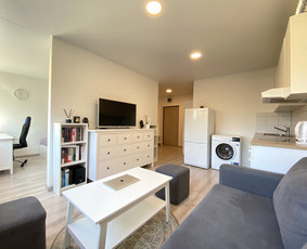 Nekilnojamojo turto brokeris / agentas / Henrikas Mauragis / Henrikas Mauragis / Darbų pavyzdys ID 3900074