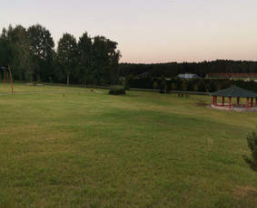 Žolės Pjovimas Su Trimeriu Ir Žoliapjove / Mindaugas / Darbų pavyzdys ID 3900646
