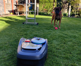 Vejos robotų instaliavimas, konsultavimas / Jonas / Darbų pavyzdys ID 3900748