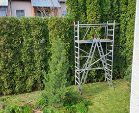 Gyvatvorių karpymas, vaismedžių genėjimas - Gyvatvorių karpymas - 3 Gyvatvorių karpymas - Gyvatvorių karpymas, vaismedžių genėjimas - 3