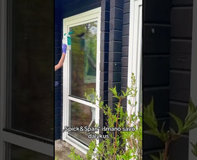 Profesionalus Valymas Jūsų Patogumui S&s / Spick&Span / Darbų pavyzdys ID 3904478