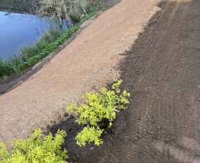 Šlaitų tvirtinimas ir sklypų formavimas, drenažų įrengimas. - Kraštovaizdžio projektavimas - 3 Kraštovaizdžio projektavimas - Šlaitų tvirtinimas ir sklypų formavimas, drenažų įrengimas. - 3