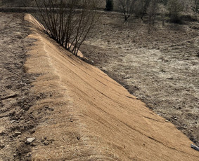 Apleistų sklypų tvarkymas - Šlaitų tvirtinimas ir sklypų formavimas, drenažų įrengimas. - 2