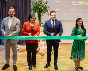 Vestuvių, šeimos švenčių, renginių fotografavimas / Rytis Photo / Darbų pavyzdys ID 3907380