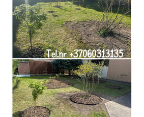 Vejos pjovimas-aplinkos priežiūra, tvarkymas. / Zigmas / Darbų pavyzdys ID 3907682