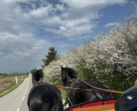 Jojimo paslaugos Šiaulių rajone - Kitos ekstremalios paslaugos - 2 Kitos ekstremalios paslaugos - Jojimo paslaugos Šiaulių rajone - 2