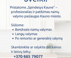 Profesionalus namų valymas Kaune – švara be rūpesčių! - Namų valymas - 1 Namų valymas - Profesionalus namų valymas Kaune – švara be rūpesčių! - 1