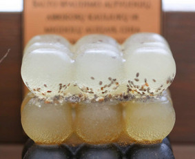 Prabangusis muilas su natūraliais priedais ir liufos padėkliuku, 185g
www.villagemade.lt
