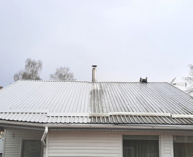 Trinkelių/fasadų/stogų plovimas langų valymas. / Vytautas / Darbų pavyzdys ID 3908412
