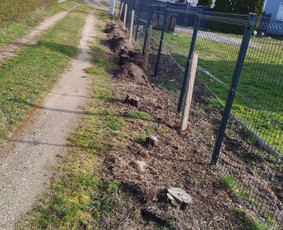 Kelmų frezavimas šaku smulkintuvo nuoma / Vyt Autas / Darbų pavyzdys ID 3909020
