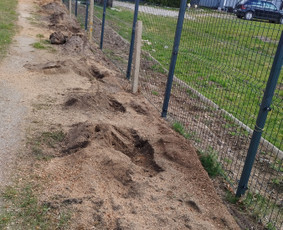 Kelmų frezavimas šaku smulkintuvo nuoma / Vyt Autas / Darbų pavyzdys ID 3909024