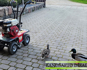 Automatinės laistymo sistemos Vilniuje / Alen Art / Darbų pavyzdys ID 3909514