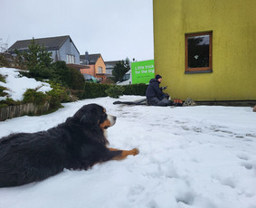 Vidaus apdailos darbai - Sėda grindys? Skyla sienos? - 2