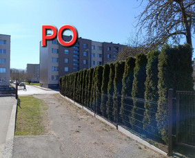 Arboristo paslaugos: medžių pjovimas/genėjimas / Tomas Damulis / Darbų pavyzdys ID 3912464