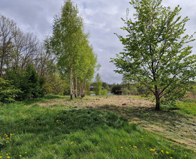 Aplinkos priežiūros darbai, žolės pjovimas / Ingridas Kazlauskas / Darbų pavyzdys ID 3912702