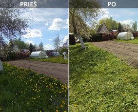 Tvarkingi Sklypai Panevėžyje / Egidijus Ablėnas / Darbų pavyzdys ID 3912754