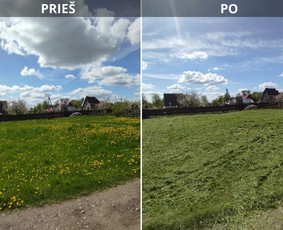 Tvarkingi Sklypai Panevėžyje / Egidijus Ablėnas / Darbų pavyzdys ID 3912756
