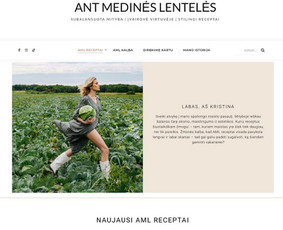 Profesionaliai kuriame Shopify, Woocommerce ir Wp svetaines / UAB Setupad Technologies / Darbų pavyzdys ID 3913322