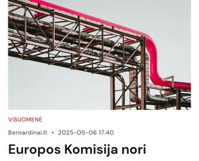 Profesionaliai kuriame Shopify, Woocommerce ir Wp svetaines / UAB Setupad Technologies / Darbų pavyzdys ID 3913328