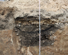 Archeologiniai tyrimai, konsultacijos / UAB "Kultūros Vertybių Paieška" / Darbų pavyzdys ID 3914212