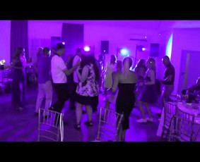 Artis kūrybinė komanda, vedėjas, atlikėja ir dj / Artis DREAM TEAM / Darbų pavyzdys ID 3915104