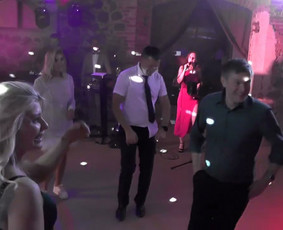 Artis kūrybinė komanda, vedėjas, atlikėja ir dj / Artis DREAM TEAM / Darbų pavyzdys ID 3915120