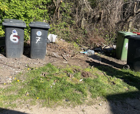 Teikiame įvairias pervežimo ir pagalbines paslaugas / Universalūs darbai / Darbų pavyzdys ID 3916138